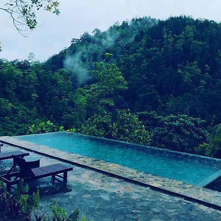 Jansen'S Bungalow Sinharaja Rainforest Retreat Kudawe Dış mekan fotoğraf