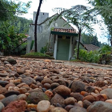 Jansen'S Bungalow Sinharaja Rainforest Retreat Kudawe Dış mekan fotoğraf
