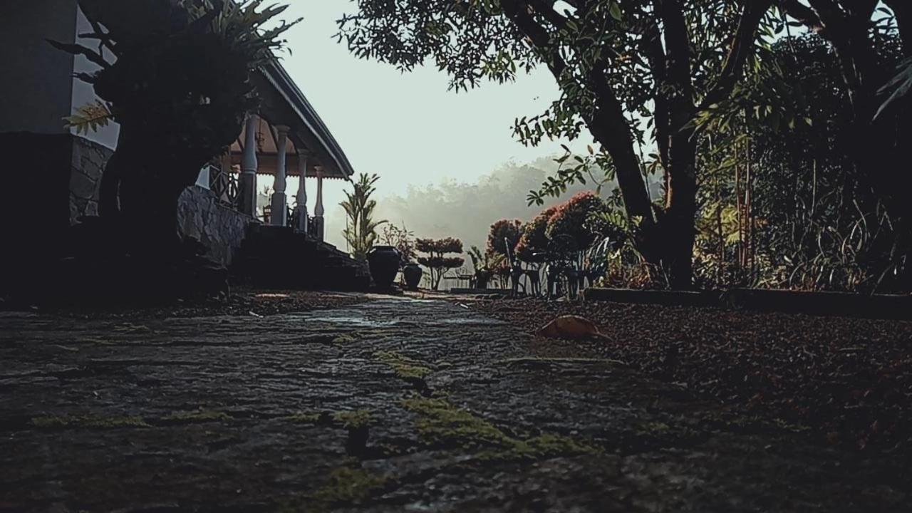 Jansen'S Bungalow Sinharaja Rainforest Retreat Kudawe Dış mekan fotoğraf