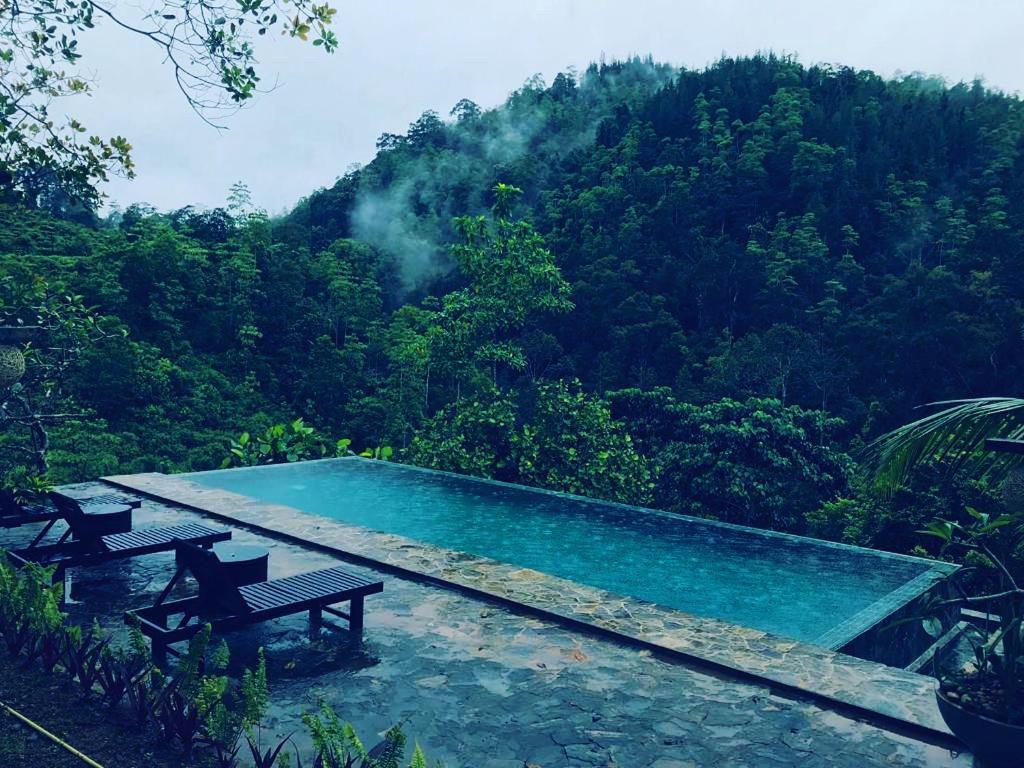 Jansen'S Bungalow Sinharaja Rainforest Retreat Kudawe Dış mekan fotoğraf