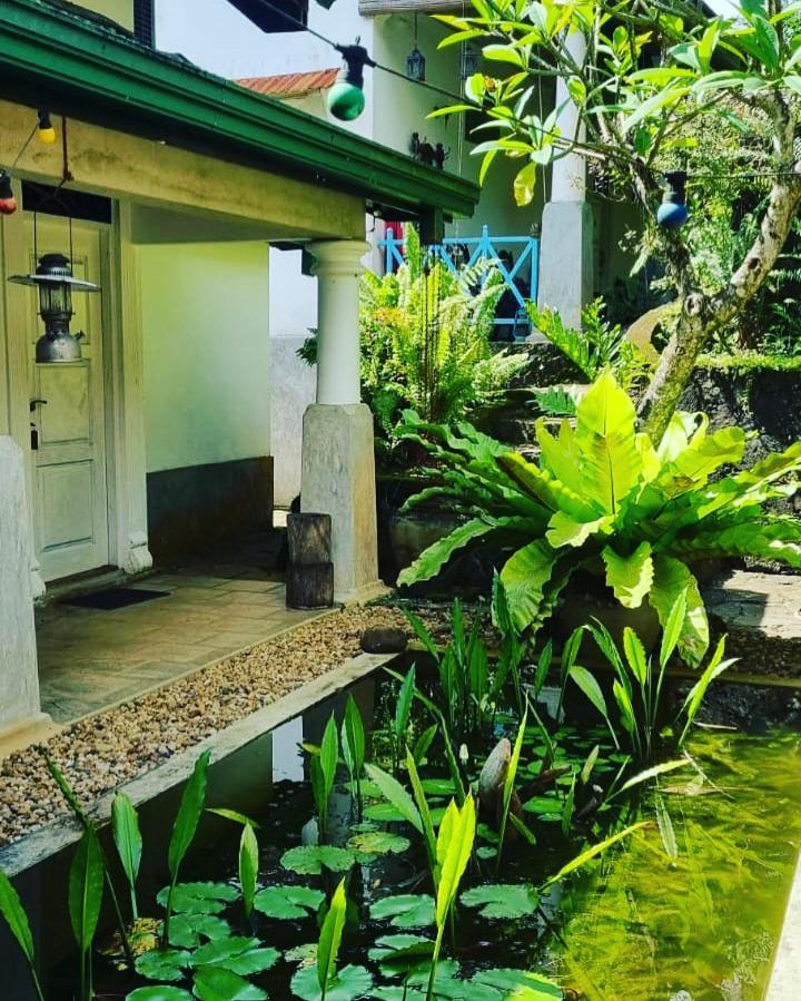 Jansen'S Bungalow Sinharaja Rainforest Retreat Kudawe Dış mekan fotoğraf