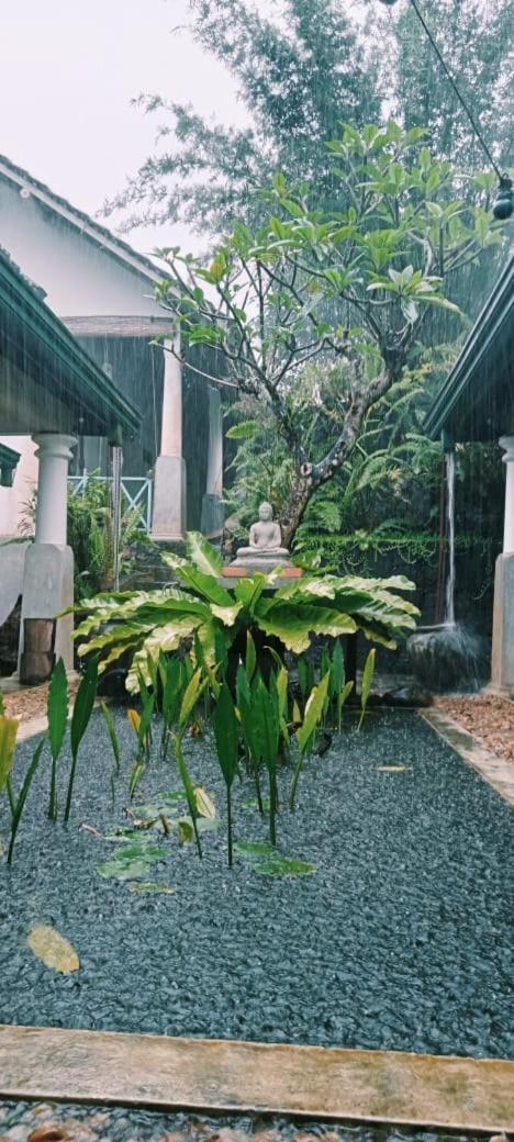 Jansen'S Bungalow Sinharaja Rainforest Retreat Kudawe Dış mekan fotoğraf